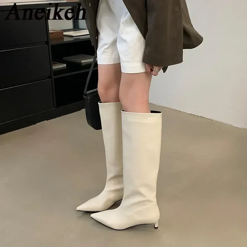 Aneikeh New Brown Kitten Heels Women Modern Boots Female Shoes 2026 Fashion Luxury Pointed Toe Ladies Long Knee Western Boots