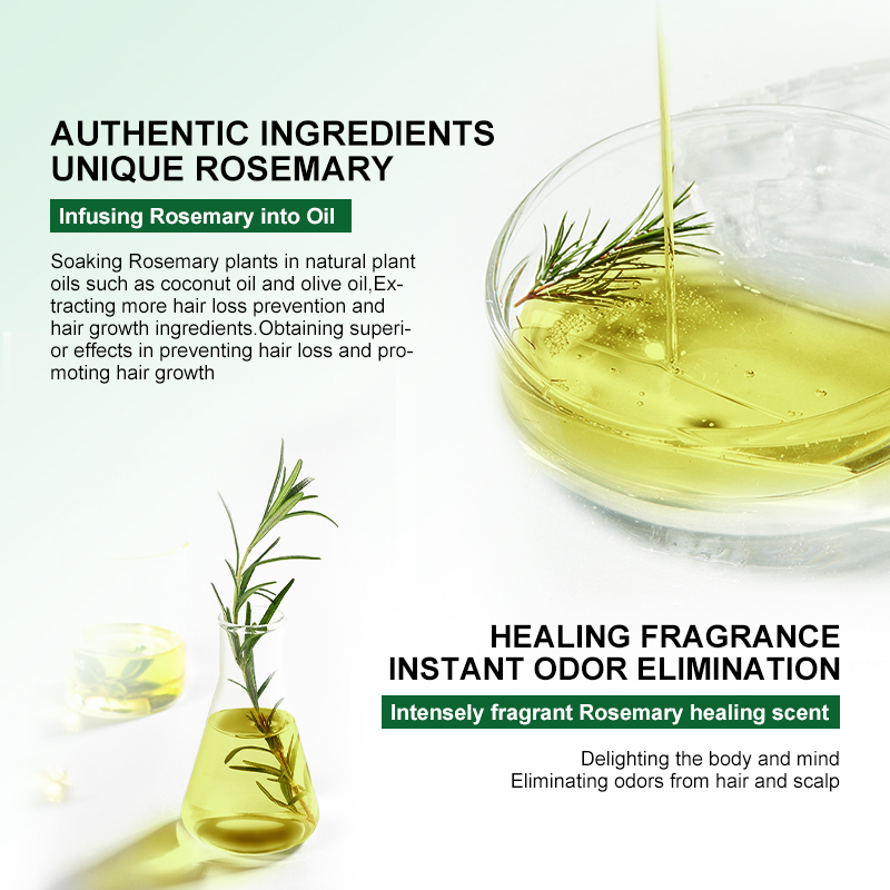 PURC Rosemary Oil Hair Loss Treatment Ginger Hair Growth Products for Men Women Smoothing Anti-Frizz Hair Care