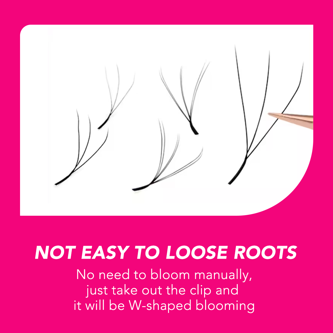 TDANCE W Shape Lash Soft Handmade 3d 4d 5d 6d 8d Premade Volume Fan C D 0.07MM Eyelashes Extension